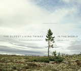 front cover of The Oldest Living Things in the World