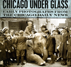 front cover of Chicago under Glass