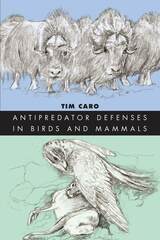 front cover of Antipredator Defenses in Birds and Mammals
