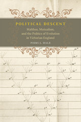 front cover of Political Descent