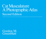 front cover of Cat Musculature