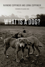 front cover of What Is a Dog?