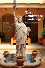 front cover of The Remittance Landscape