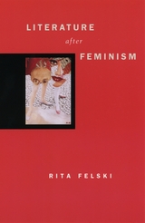 front cover of Literature after Feminism
