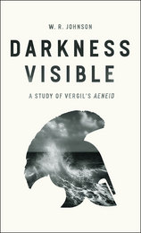 front cover of Darkness Visible