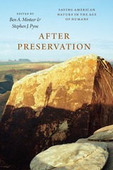 front cover of After Preservation