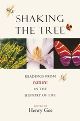 front cover of Shaking the Tree