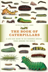 front cover of The Book of Caterpillars