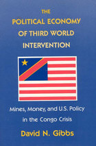 front cover of The Political Economy of Third World Intervention