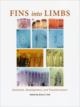 front cover of Fins into Limbs