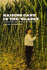 front cover of Raising Cane in the 'Glades