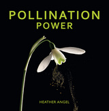 front cover of Pollination Power