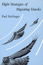 front cover of Flight Strategies of Migrating Hawks