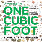 front cover of A World in One Cubic Foot