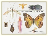 front cover of Illinois Insects and Spiders