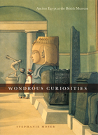 front cover of Wondrous Curiosities