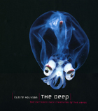 front cover of The Deep