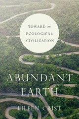 front cover of Abundant Earth
