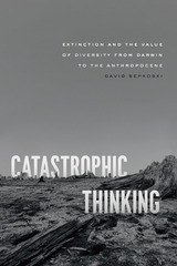 front cover of Catastrophic Thinking