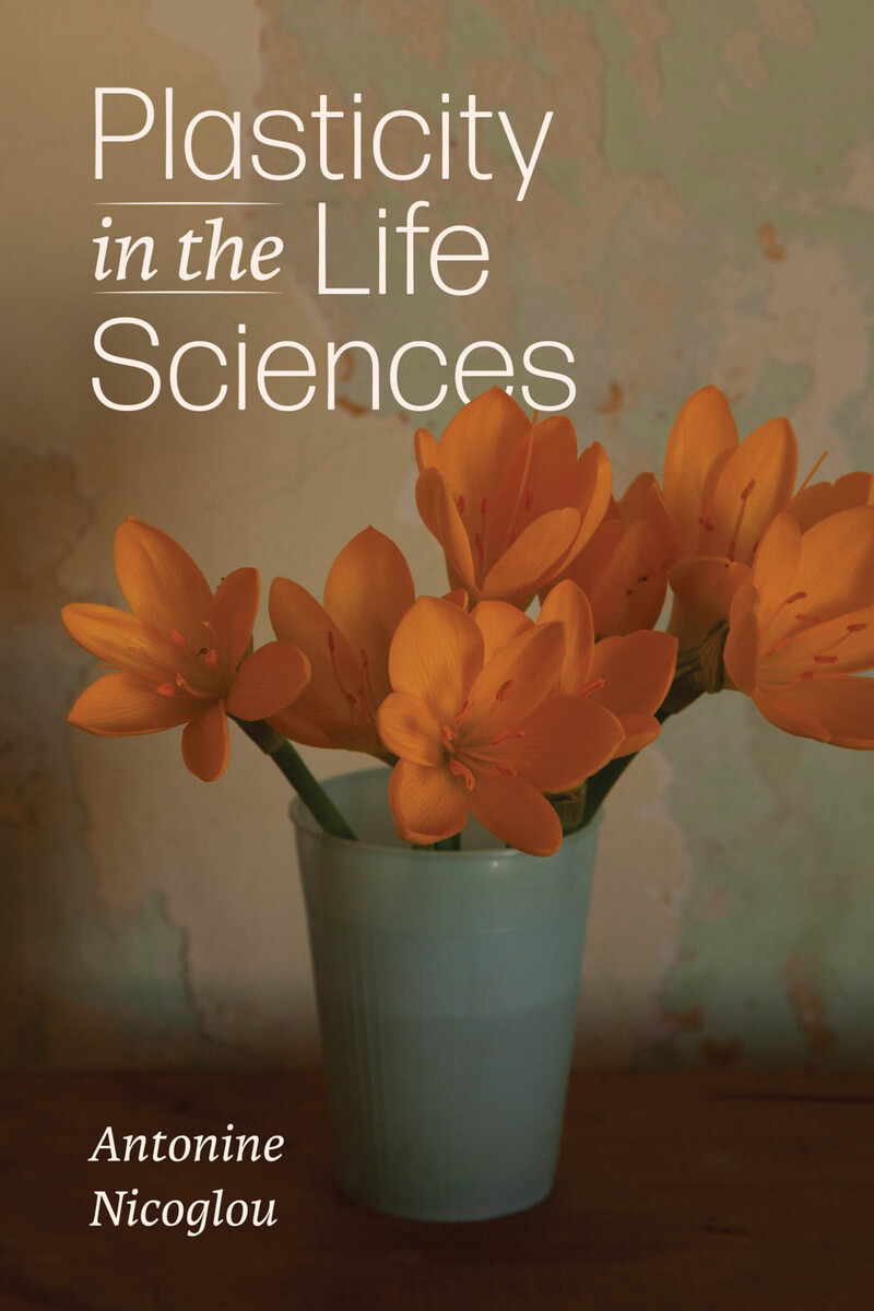 front cover of Plasticity in the Life Sciences