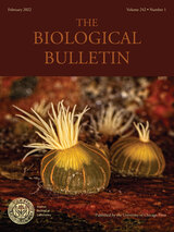 front cover of The Biological Bulletin, volume 242 number 1 (February 2022)