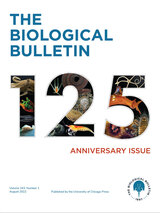 front cover of The Biological Bulletin, volume 243 number 1 (August 2022)