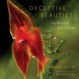 front cover of Deceptive Beauties
