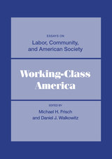 front cover of Working-Class America