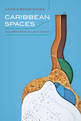 front cover of Caribbean Spaces