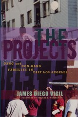 front cover of The Projects