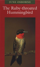 front cover of The Ruby-throated Hummingbird