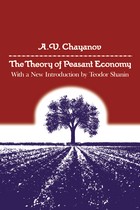 front cover of The Theory of Peasant Economy