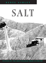 front cover of Salt