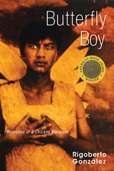 front cover of Butterfly Boy