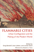 front cover of Flammable Cities