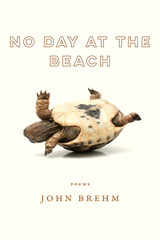 front cover of No Day at the Beach