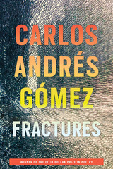 front cover of Fractures