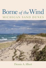 front cover of Borne of the Wind