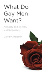front cover of What Do Gay Men Want?