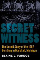 front cover of Secret Witness