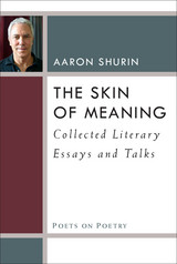 front cover of The Skin of Meaning