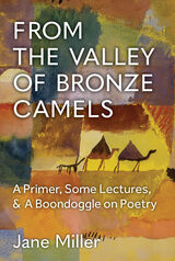 front cover of From the Valley of Bronze Camels