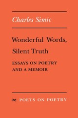 front cover of Wonderful Words, Silent Truth