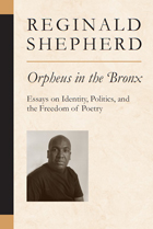 front cover of Orpheus in the Bronx