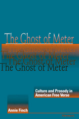 front cover of The Ghost of Meter