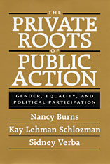 front cover of The Private Roots of Public Action