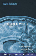 front cover of Neural Plasticity