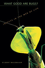 front cover of What Good Are Bugs?