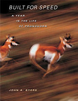 front cover of Built for Speed