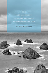 front cover of The Art and Craft of International Environmental Law
